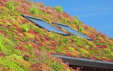 Uffculme living roof systems